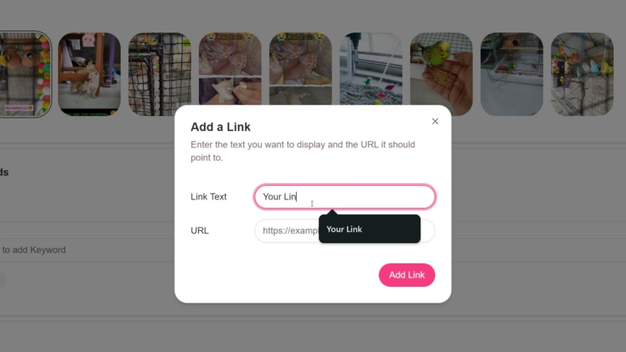 Instagram DM Automation for FREE | FewTap