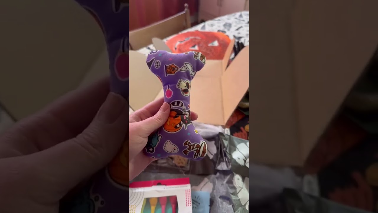 Is This the Best Subscription Box for Dog Owners? 🐾🍷