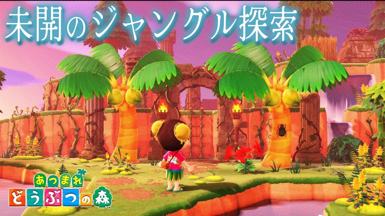 【島訪問】空港を降りると広大なジャングルが広がってました【あつまれどうぶつの森 】