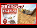 【食べても大丈夫⁉】レオパの床材をデザートブレンドに変えてみた【天然素材】