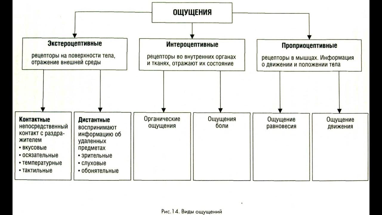 Ощущение отнести