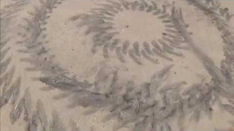 Cleaning Black Tire Marks Off Concrete | Tire Mark Removal , Not Need Hot Water Or Chemicals