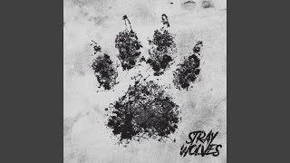 Video thumbnail of "Stray Wolves - Escape"
