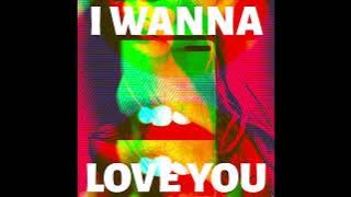 Akon - I Wanna Love You (IBARA REMIX)