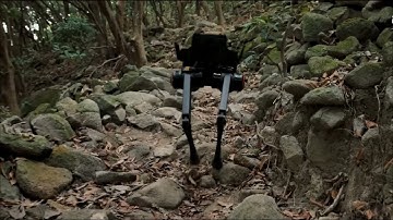LimX Dynamics