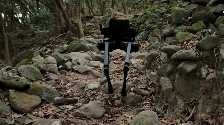 LimX Dynamics' TRON1 bipedal robot challenges complex terrains.
