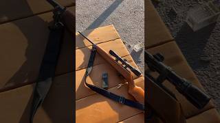 Erma Werke M1 Carbine 22 Wmr