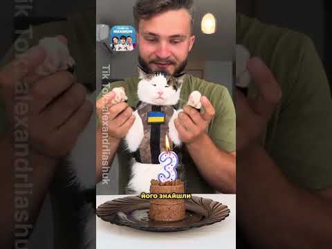 Яких КОТІВ ОБОЖНЮЮТЬ українці СТЕПАН Харитон і Шайба