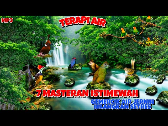 🔴Terapi Air + Masteran Jitu | Gemercik Air Jernih Agar Burung Tidak Setres |MP3 #masterangemercikair class=