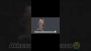 Coems Song Perfect Loop