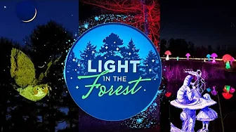 LIGHT IN THE FOREST at Cincinnati Nature Center 2023 | Serenely Magical Holiday Event!