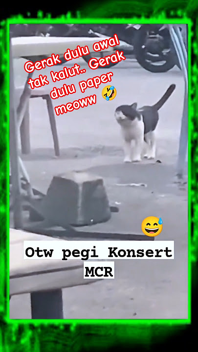 Gerak dulu awal tak kalut.. Gerak lu pape meoww 🤣 📽 fara zizan #mcr #mychemicalromance