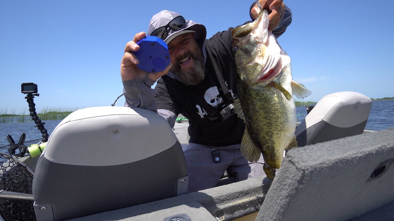 ⁣Hooked A Big Bass : Florida Lake