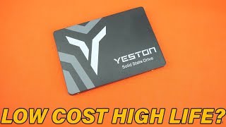 The budget drive that will last? -Yeston Extreme