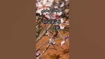 سورة الإخلاص #اكسبلور #المصحف #europe