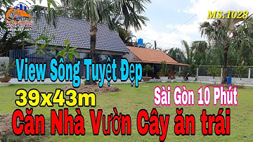 Nhà Vườn Long An | Căn nhà vườn cây ăn trái view Sông tuyệt đẹp tại Bến Lức, Long An