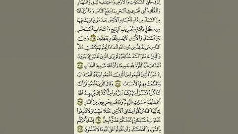 #سورة_البقرة من الآية ١٦٤ إلى الآية ١٦٩ بصوت القارئ #ماهر_المعيقلي