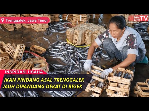 Ikan Pindang Itu Ikan Apa