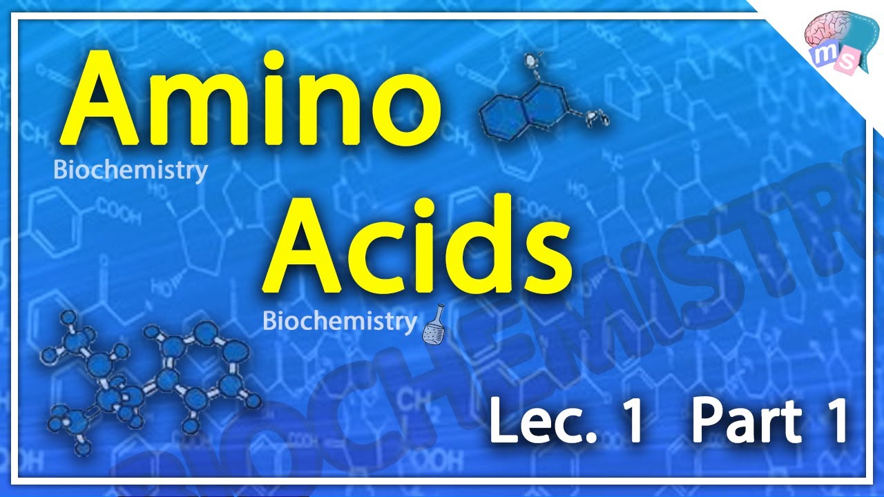 [[Biochemistry]] : (Amino Acids) Lec.1 part1
