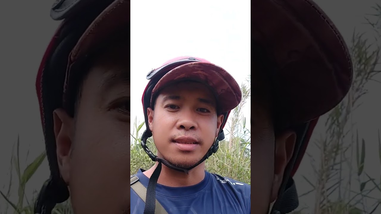 Giao luu dợt quốc cùng ae chú bác 