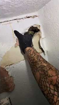 Pex repair #Plumber #Diy #leak #rats #construction #sac #916 #serviceplumber #help #530 #1k