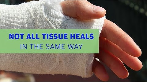 Not All Tissue Heals In The Same Way