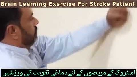 What is Neuroplasticity: Guidelines for Stroke Recovery