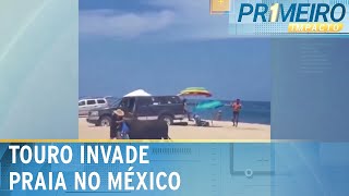 Video touro-foge-de-fazenda-invade-praia-no-mexico-e-chifra-banhista-primeiro-impacto-16-05-24