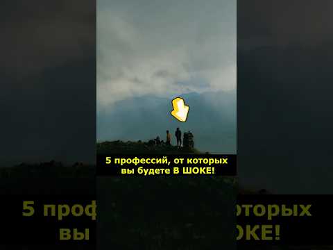 5 профессий, от которых ты будешь В ШОКЕ! #Карьера #Экстрим #Факты #Технологии #wowfacts #Наука