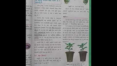 Std-6(gujrati medium),science,ch-7(part-6),by sonal tandel.