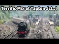 Steam pullman double  treble headed at tapton junction  great mix of workings 080524