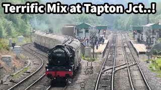 Steam, Pullman, Double & TREBLE Headed at Tapton Junction  GREAT Mix of Workings! 08/05/24