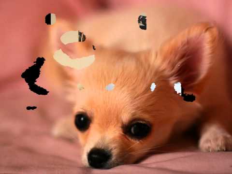 青い日曜日　 野口五郎女性ヴォーカルcover