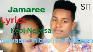 Keol Negesa Jamaree New Ethiopian Oromo Music 2023 (Saalim Tube lyrics)