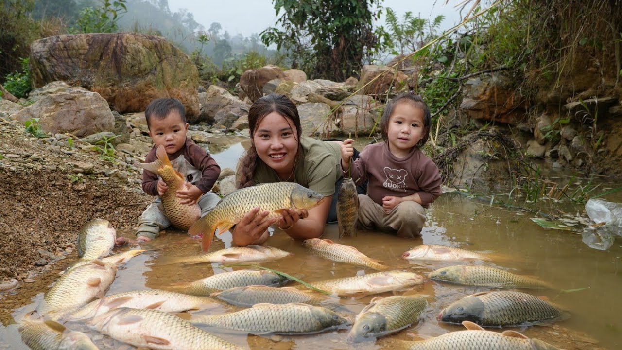 How to harvest giant fish ponds on rainy days with your children to sell at the market