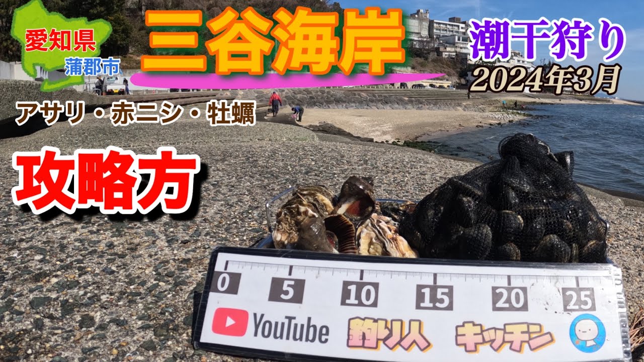 アサリが居た場所はココ。美味しいアサリが採れました。