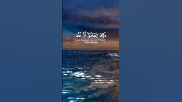 سورة المائدة الآية 97  بصوت القارئ سعود الشريم