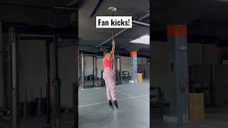Fan Kicks Are Getting Better