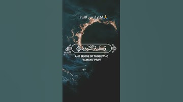 قران كريم #quran #اكسبلور #القرآن_الكريم #لايك #قرآن #راحة_نفسية #viral