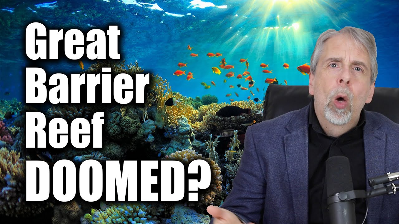 The Great Barrier Reef and climate change – the debate - YouTube