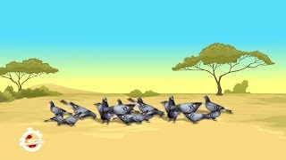 Différence entre les oiseaux migrateurs et les oiseaux résidents