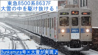 【Bunkamura号が大雪の中を駆け抜ける!】 ~東急8500系8637F 走行シーン~