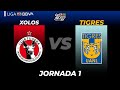 Resumen Xolos vs Tigres | Liga BBVA MX - Grita México A21 - Jornada 1