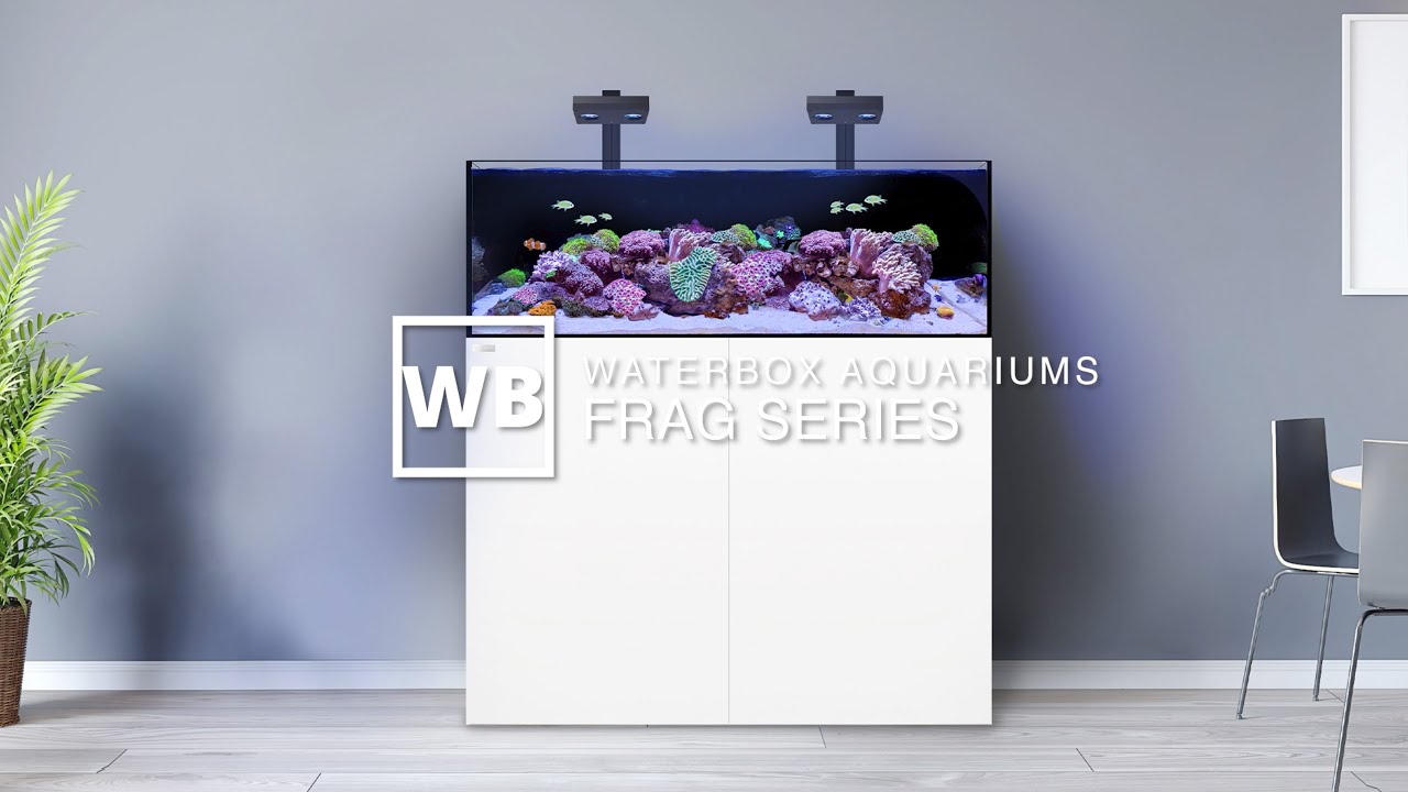 Waterbox Aquariums FRAG Overview YouTube