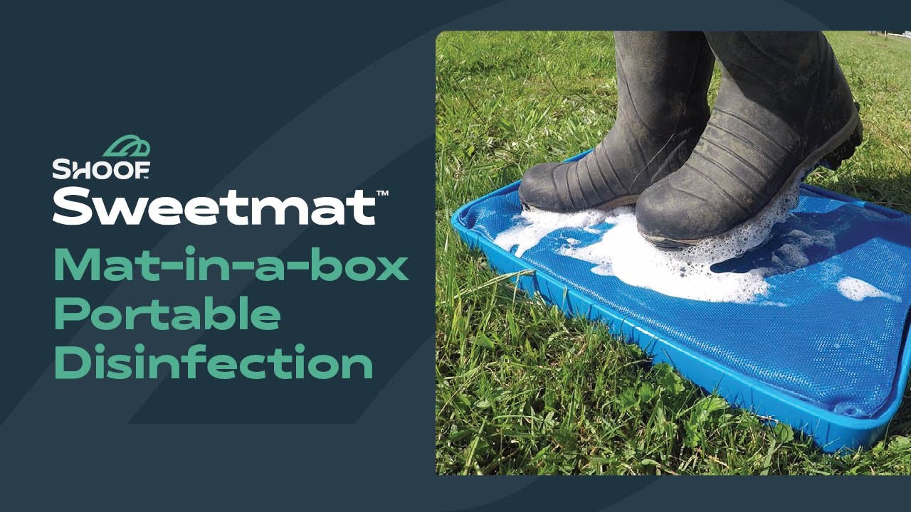MatInABox Disinfectant Mat YouTube