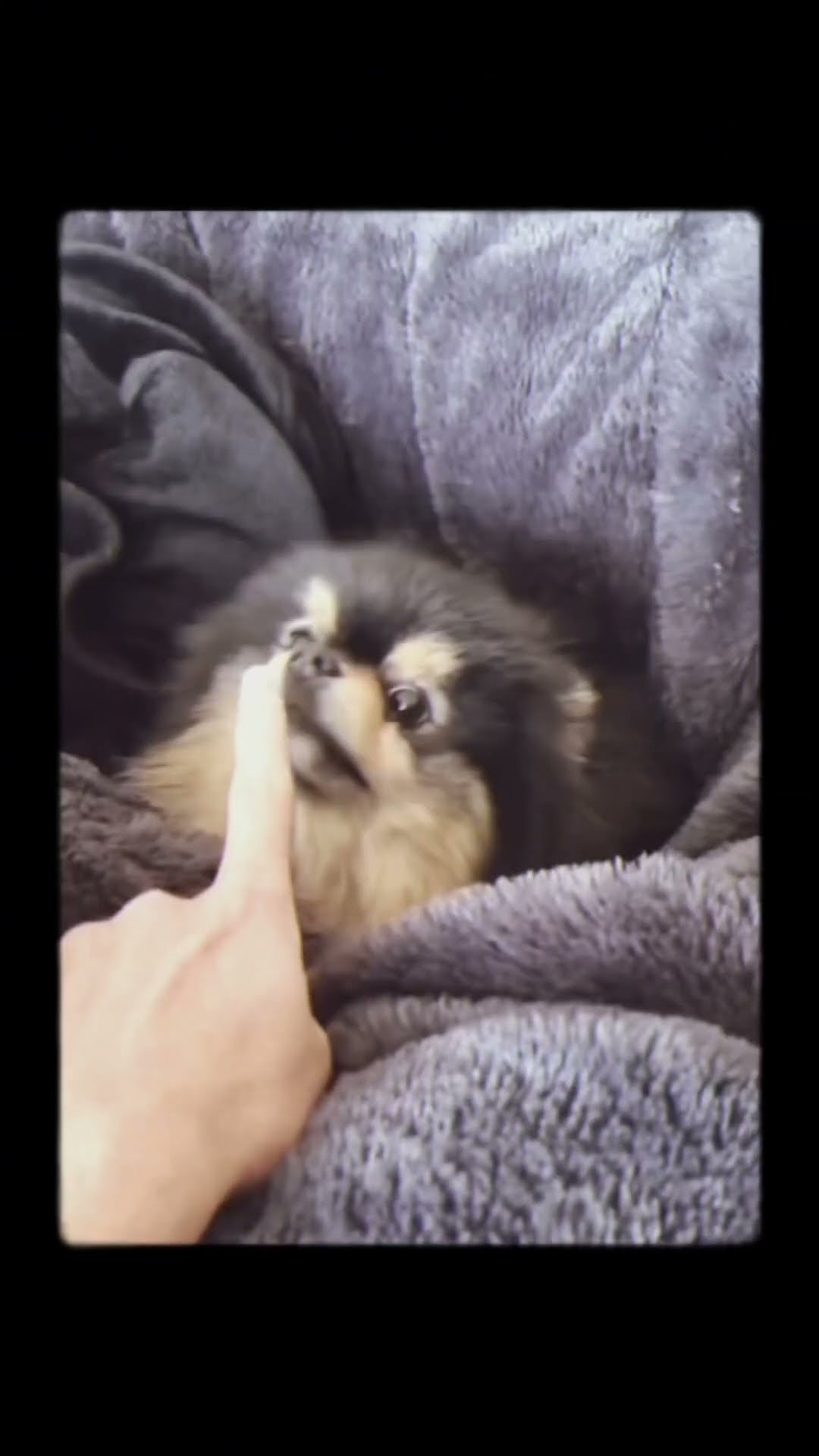 Yeontan my tears flowing down editing this ??️? #bts #kimtaehyung #yeontan #btsarmy #shorts