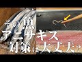 料理人が教える!48種類の魚種にいます!いろんな魚のアニサキス対策に有効です!【秋の味覚!秋刀魚の刺身の作り方!】塩焼きの秋刀魚も美味しいけど、脂がのった 秋刀魚の刺身を堪能のしかた!