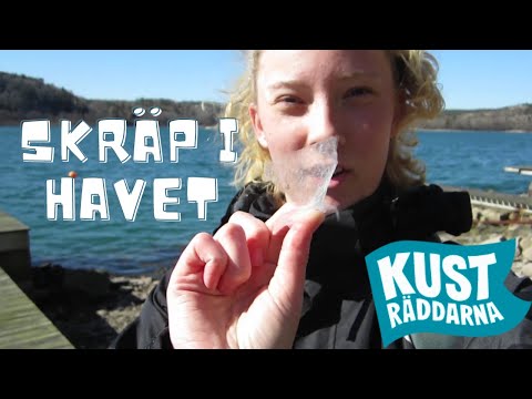 Video: Vilken är den vanligaste typen av sopor i havet?