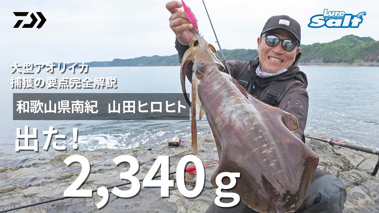 エギング 大型アオリイカの捕獲の要点を完全解説 山田ヒロヒト In 和歌山県南紀 Youtube