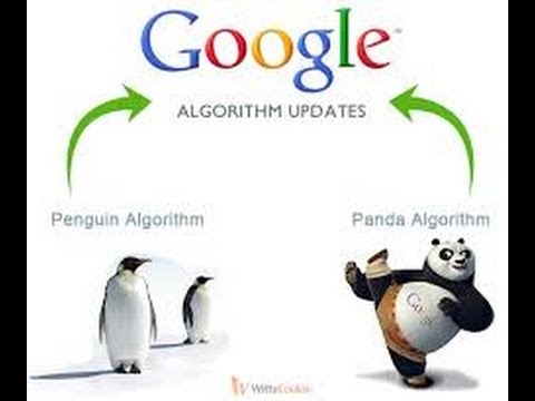 Google SEO algorithm updates - YouTube